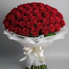 Букет 101 Красная роза Блэк Мэджик в Озерках