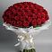 Букет 101 Красная роза Блэк Мэджик в Озерках