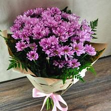 Букет цветов из:  Хризантемы #REPLACE_PRED# Озерках