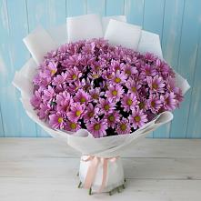Букет цветов из:  Хризантемы в Озерках