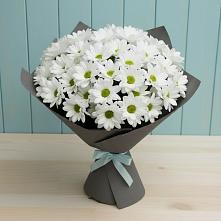 Букет цветов из:  Хризантемы в Озерках