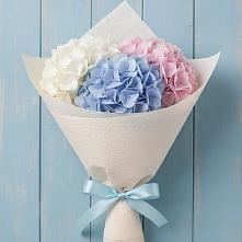 Букет цветов из:  Гортензия в Озерках