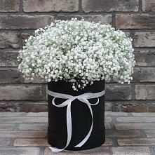 Цветочная композиция из Гипсофила в шляпной коробке #REPLACE_PRED# Озерках