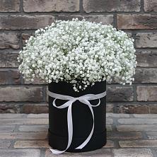 Цветочная композиция из Гипсофила в шляпной коробке в Озерках