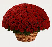 Премиум букет из: Розы в Озерках