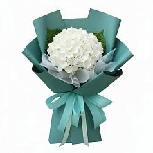 Букет цветов из:  Гортензия в Озерках